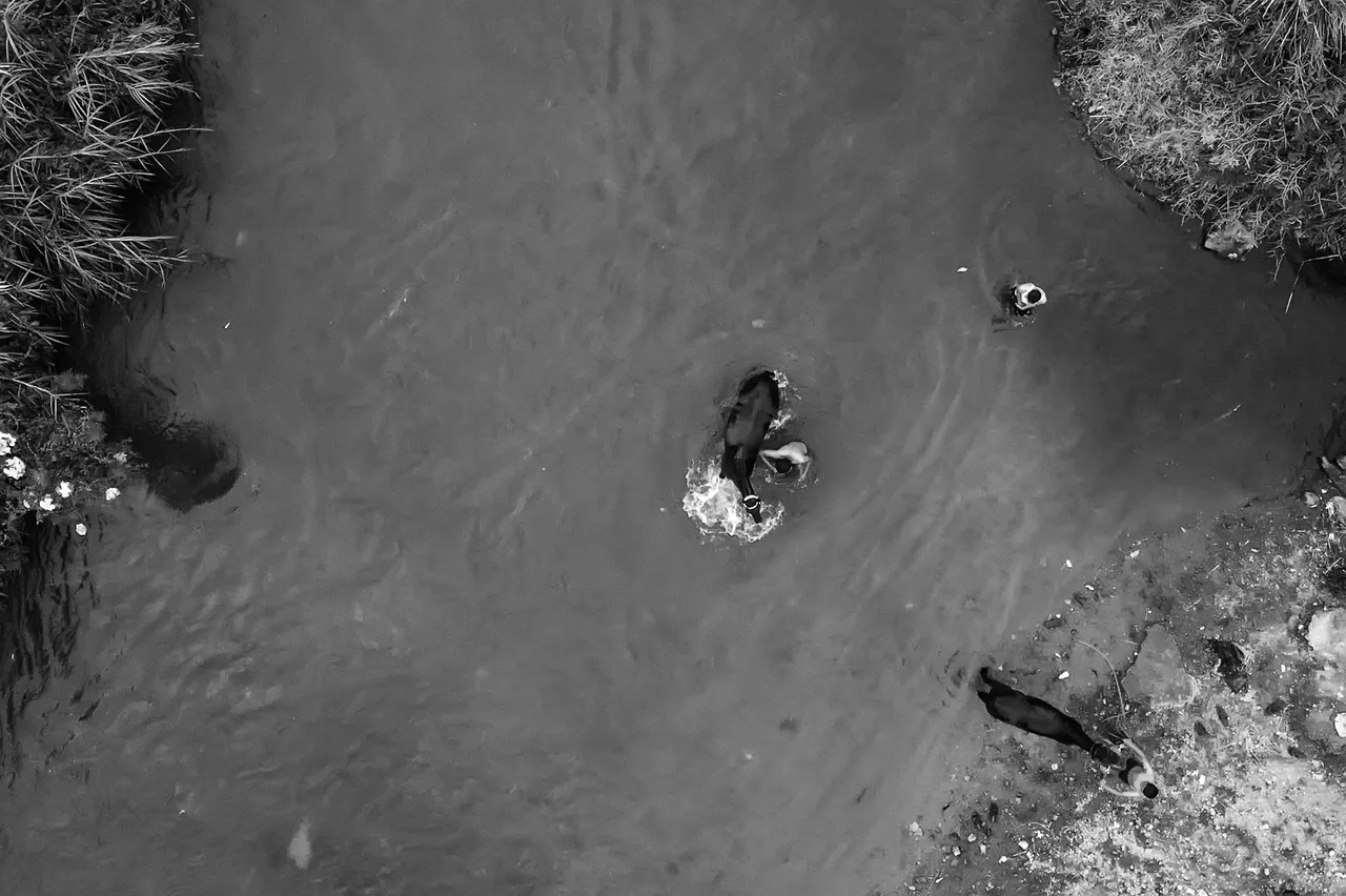 DJI_0993.JPG