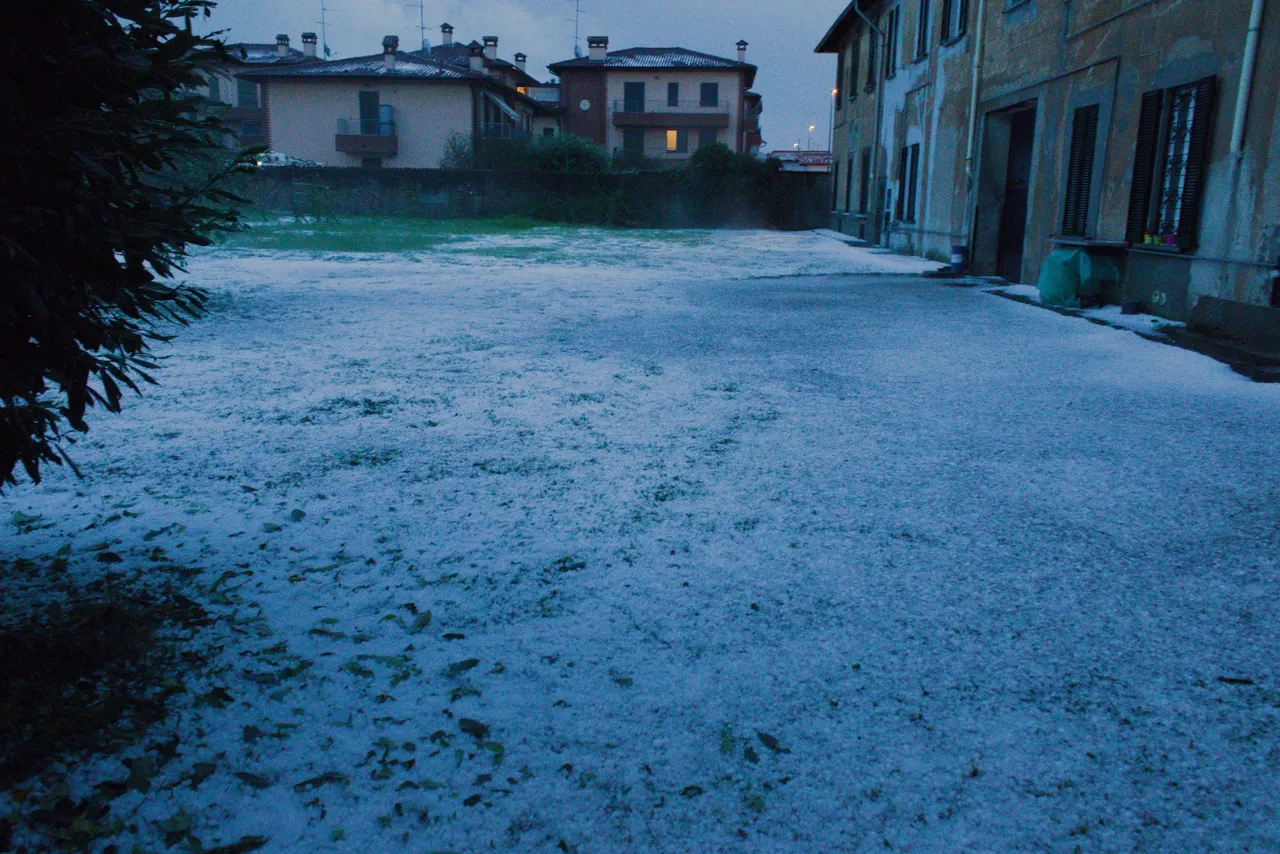 giardino.jpg