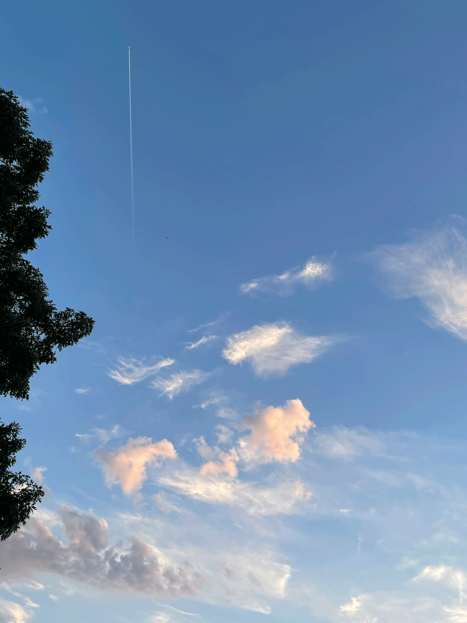 IMG_5659.gif