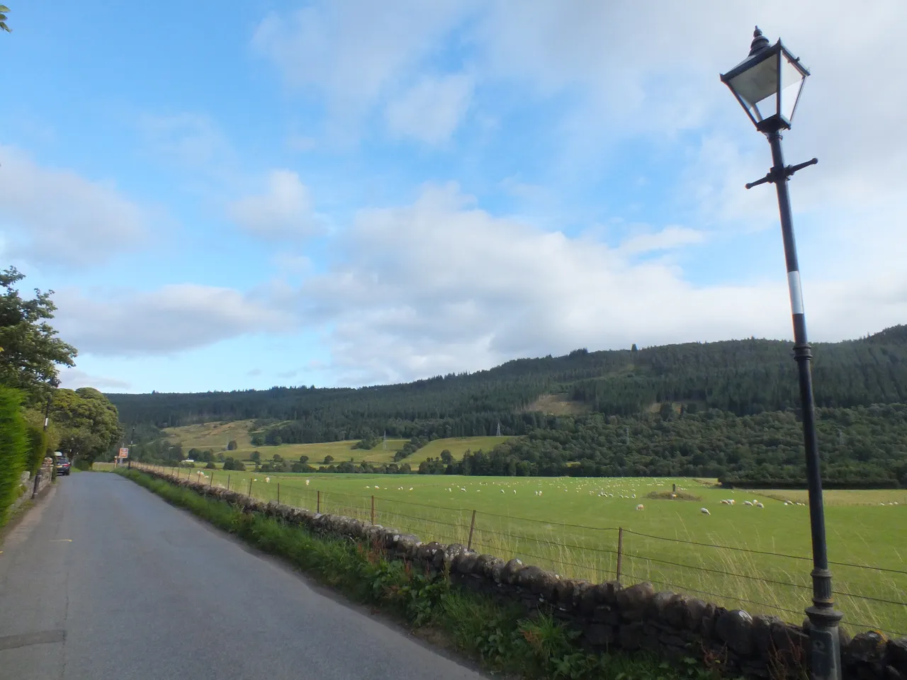 DSCF9499.JPG