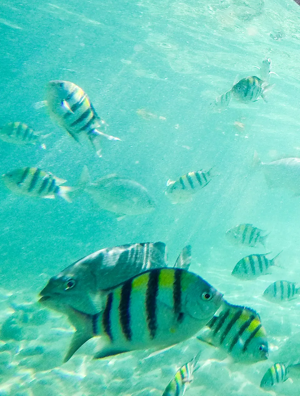 G0110769.JPG