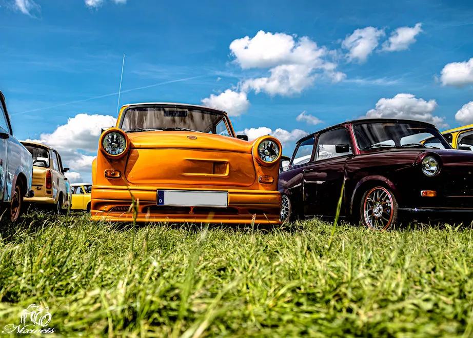 "DSC_6284.jpg"