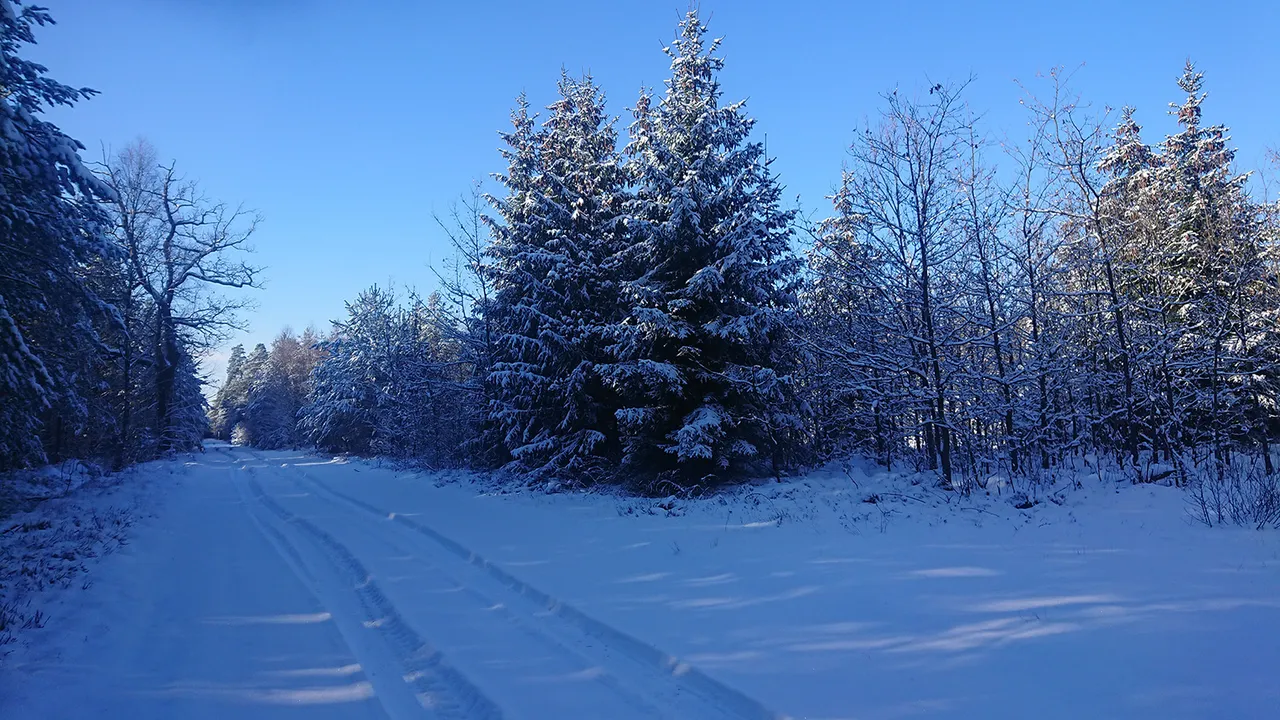 DSC_0072.JPG