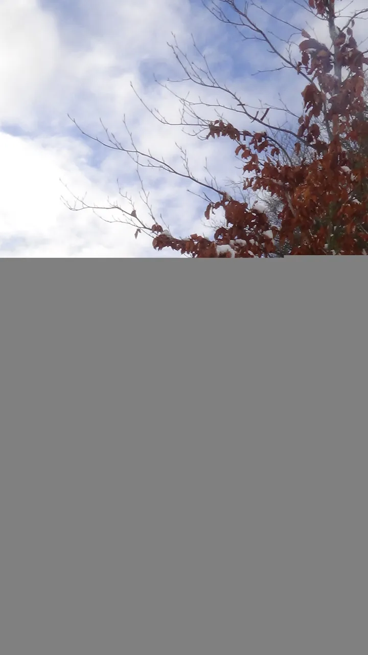 DSC01754.JPG
