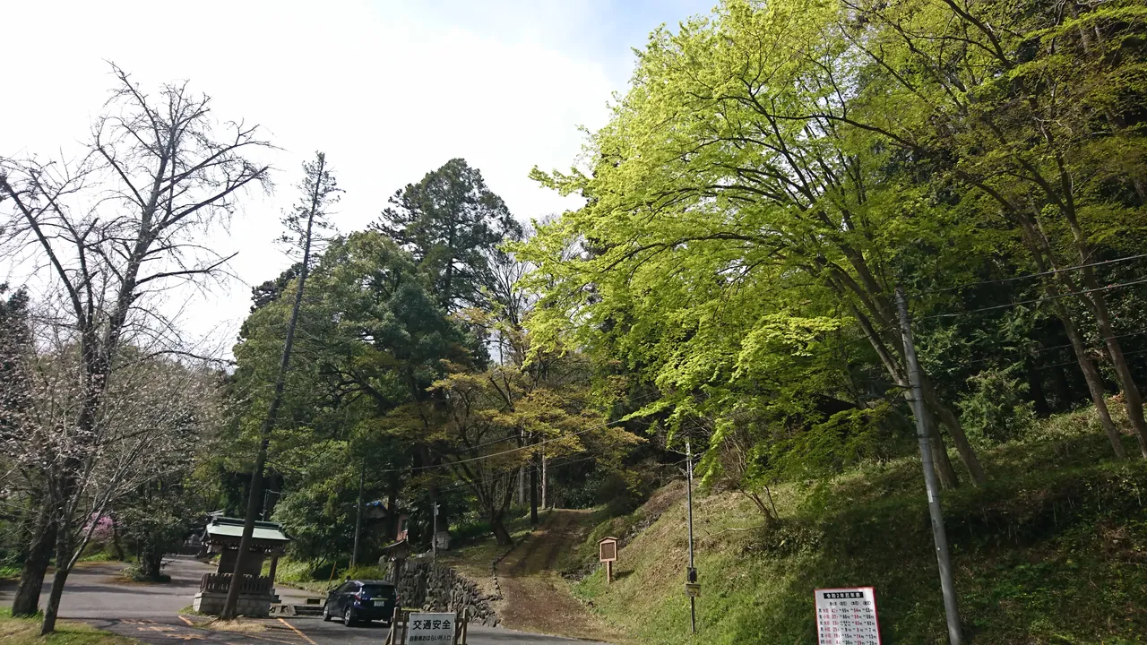 DSC_4027.JPG