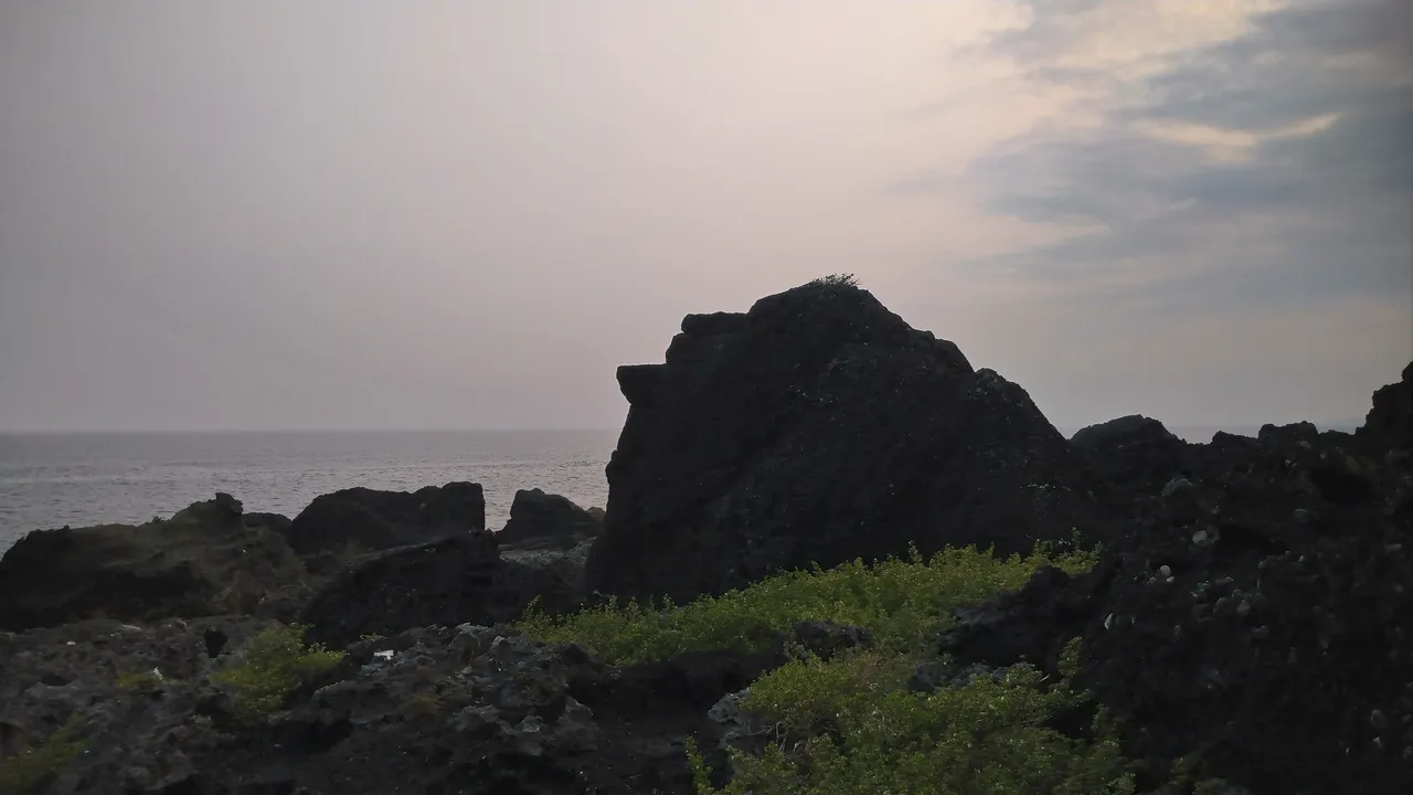 DSC_8014.JPG