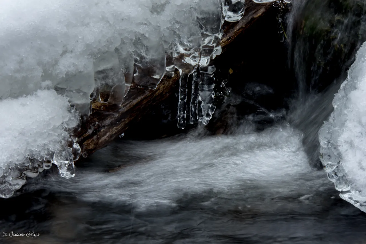 DSC_7701.jpg