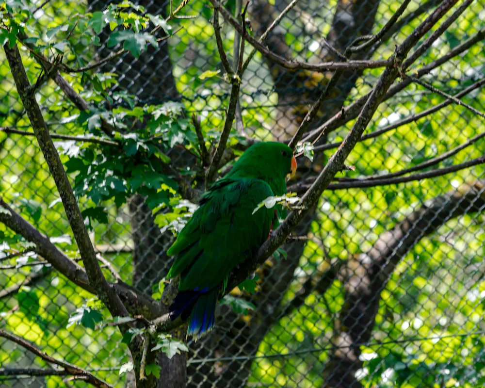 DSC_0228.jpg