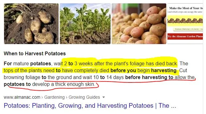 potatoes.JPG