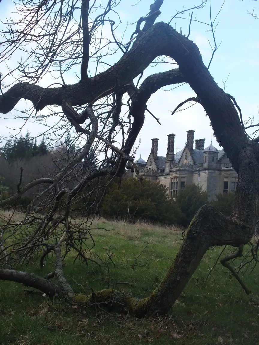 DSCF3998.JPG