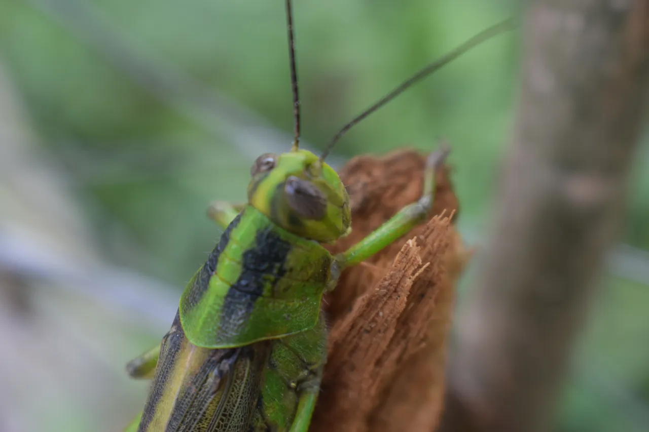 DSC_1429.JPG