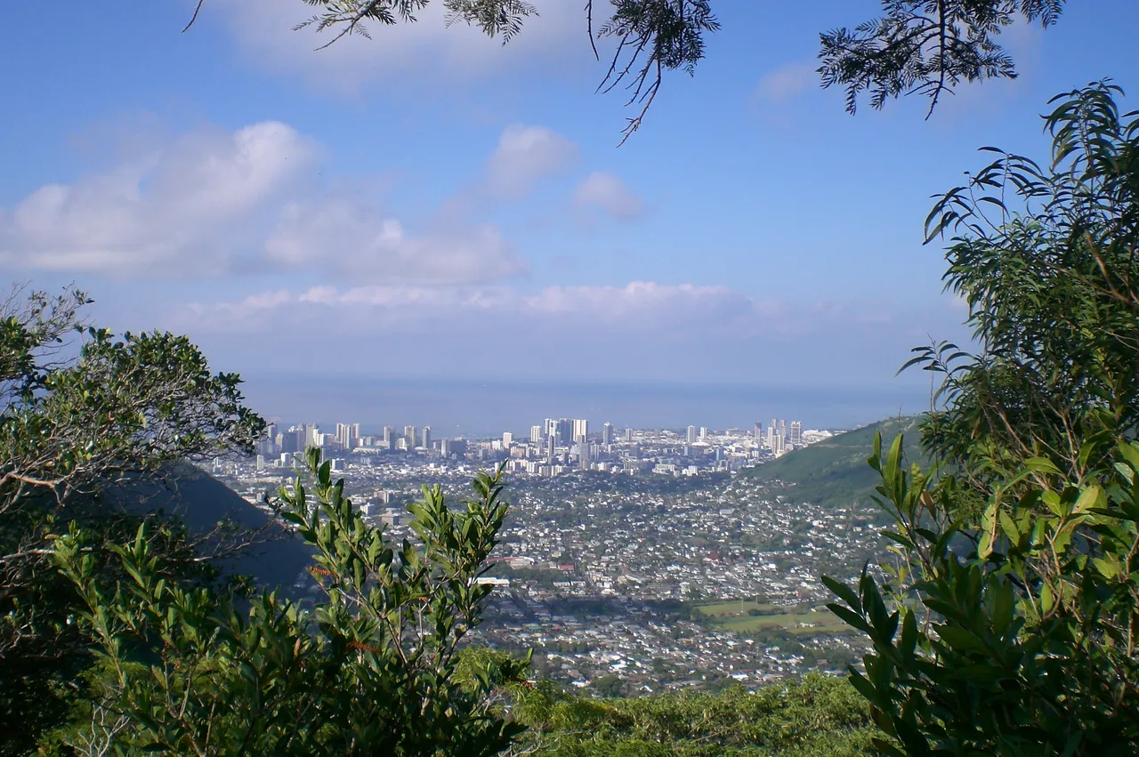 CIMG0298.JPG