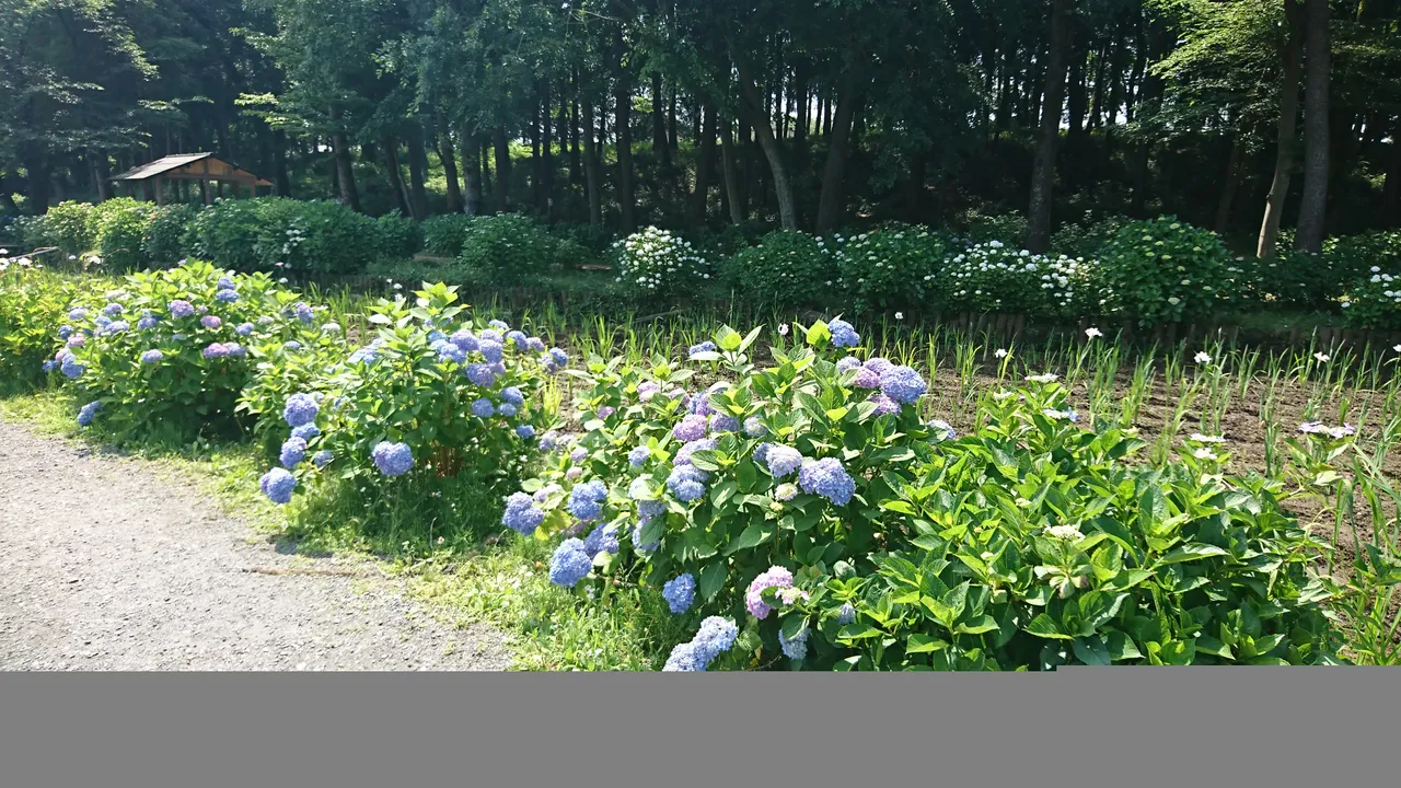 DSC_4634.JPG