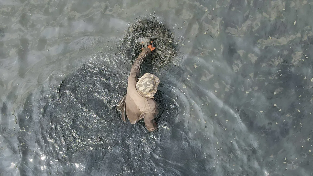 DJI_0220.JPG