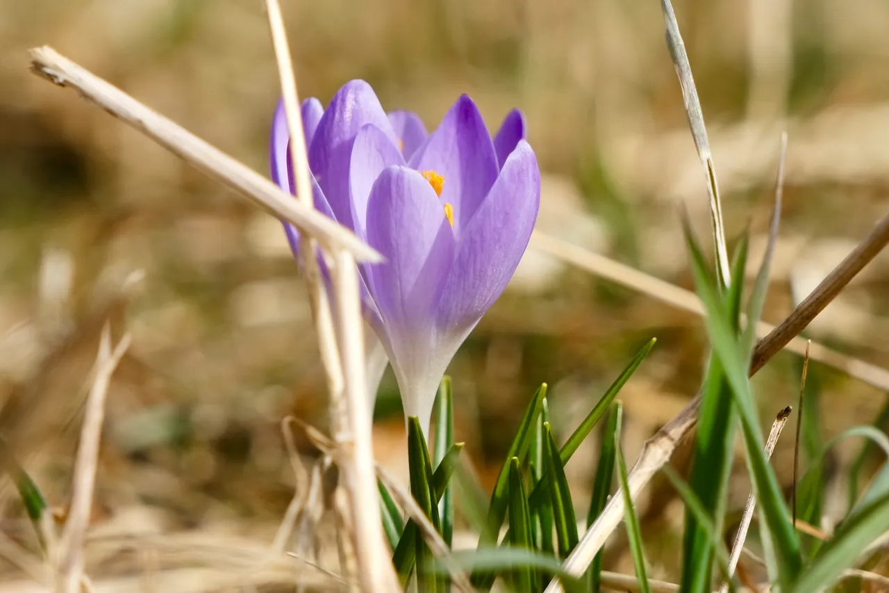 DSCF0057.jpg