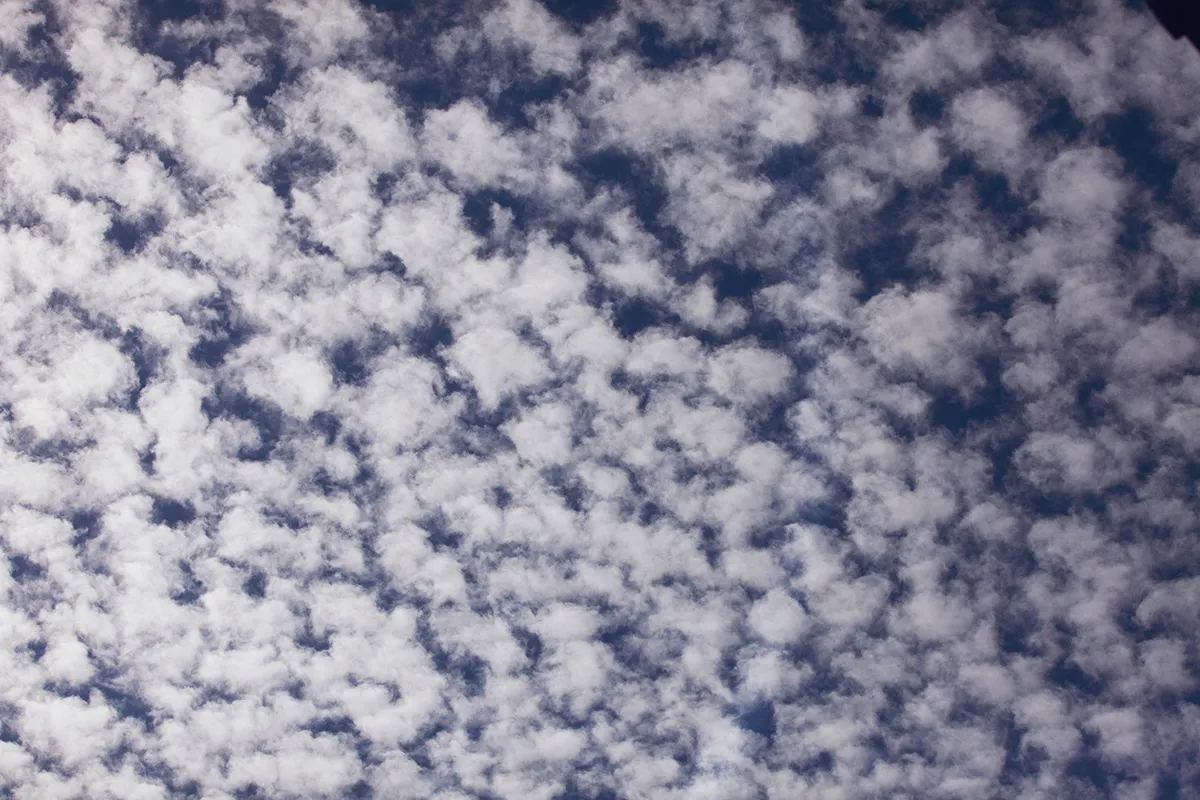 SKY13WEB.jpg