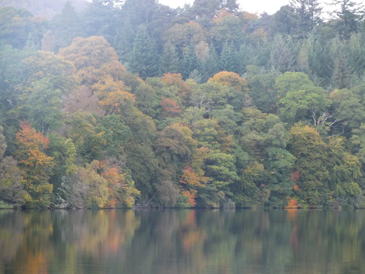 DSCF1108.JPG