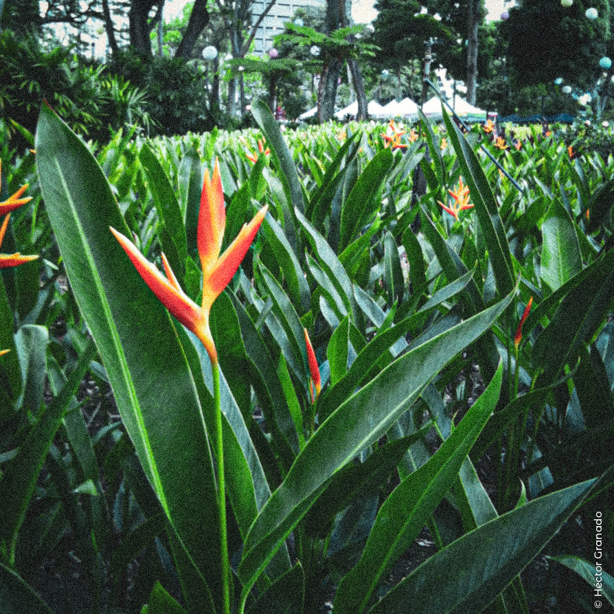 IMG_0188.png