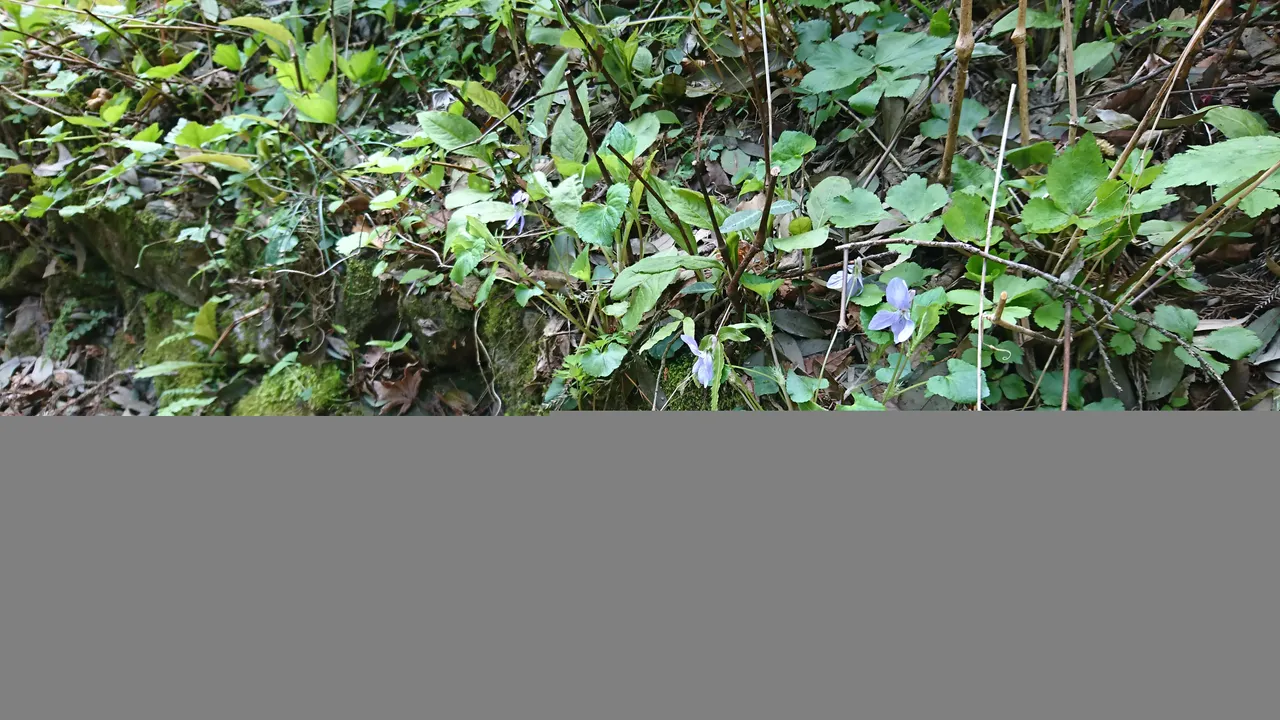 DSC_4052.JPG