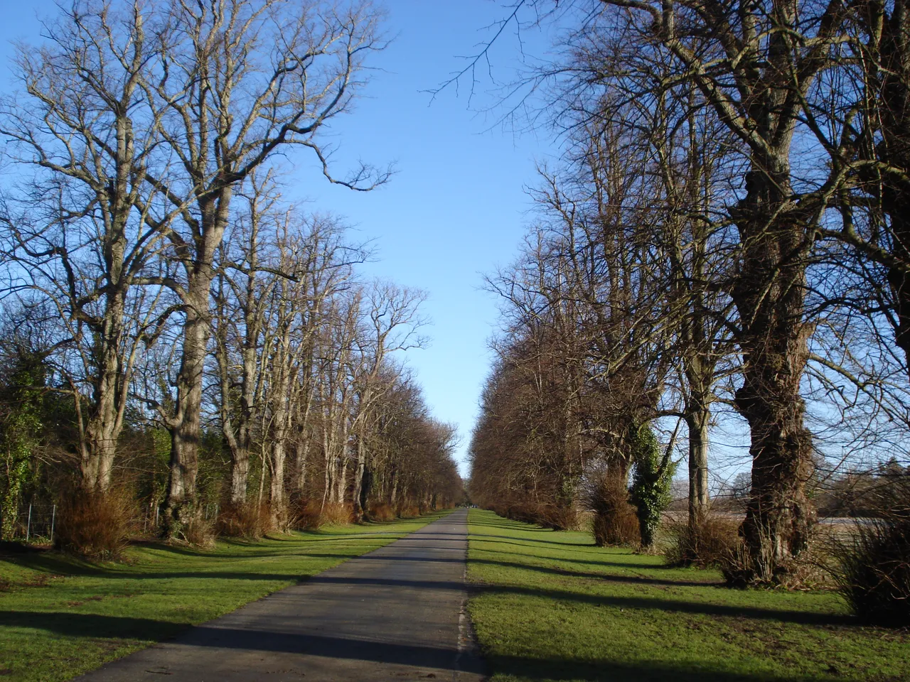DSC04205.JPG