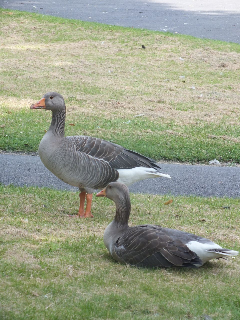 DSCF6986.JPG