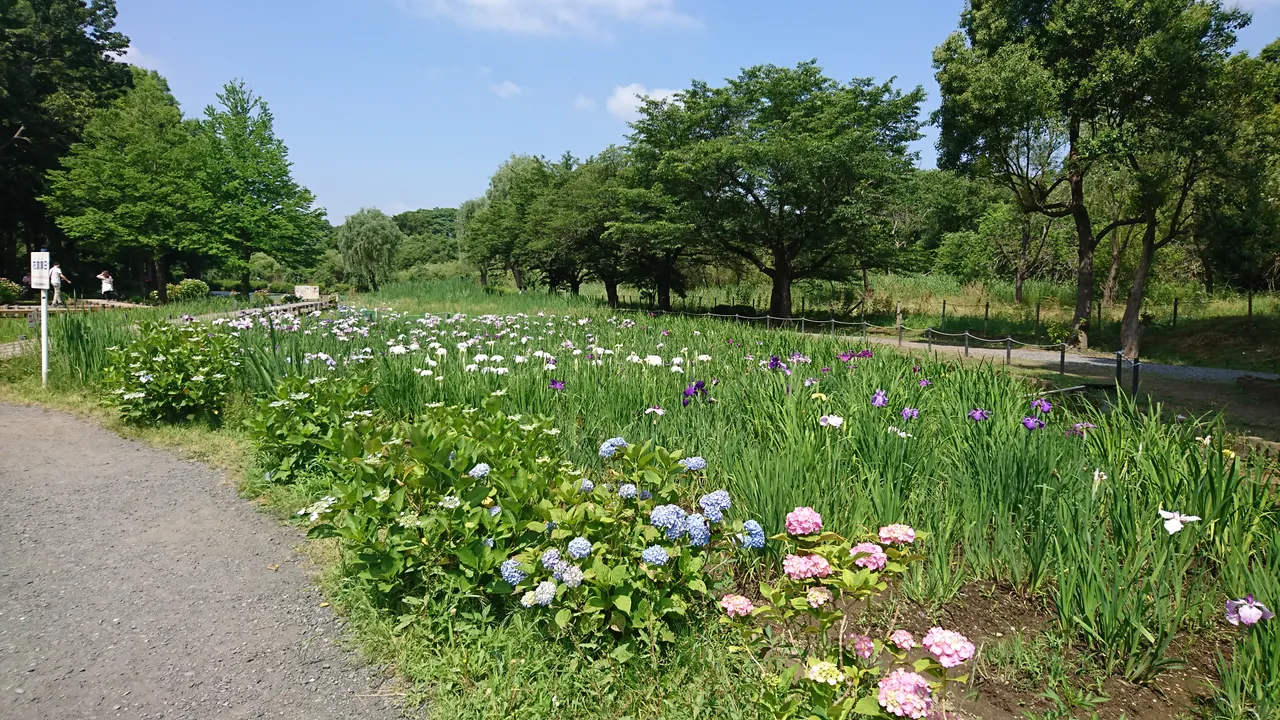 DSC_4631.JPG