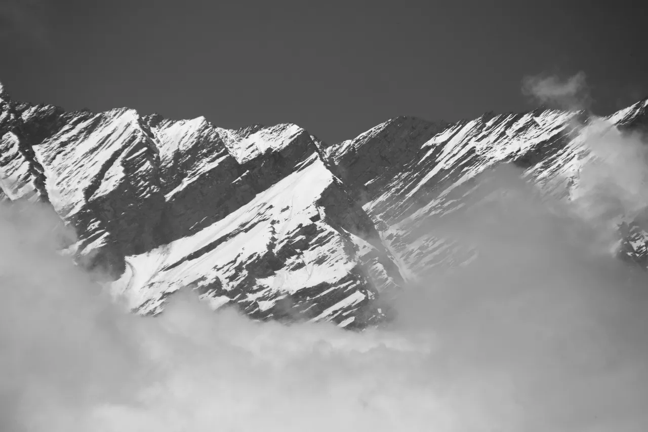 IMG_4110.JPG
