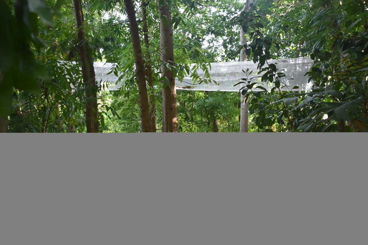 DSC_1081.JPG