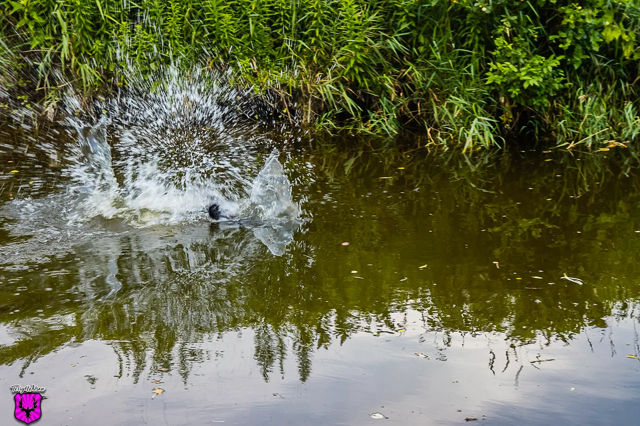 IMG_4523.JPG