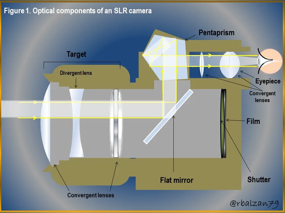 Figure_1.JPG