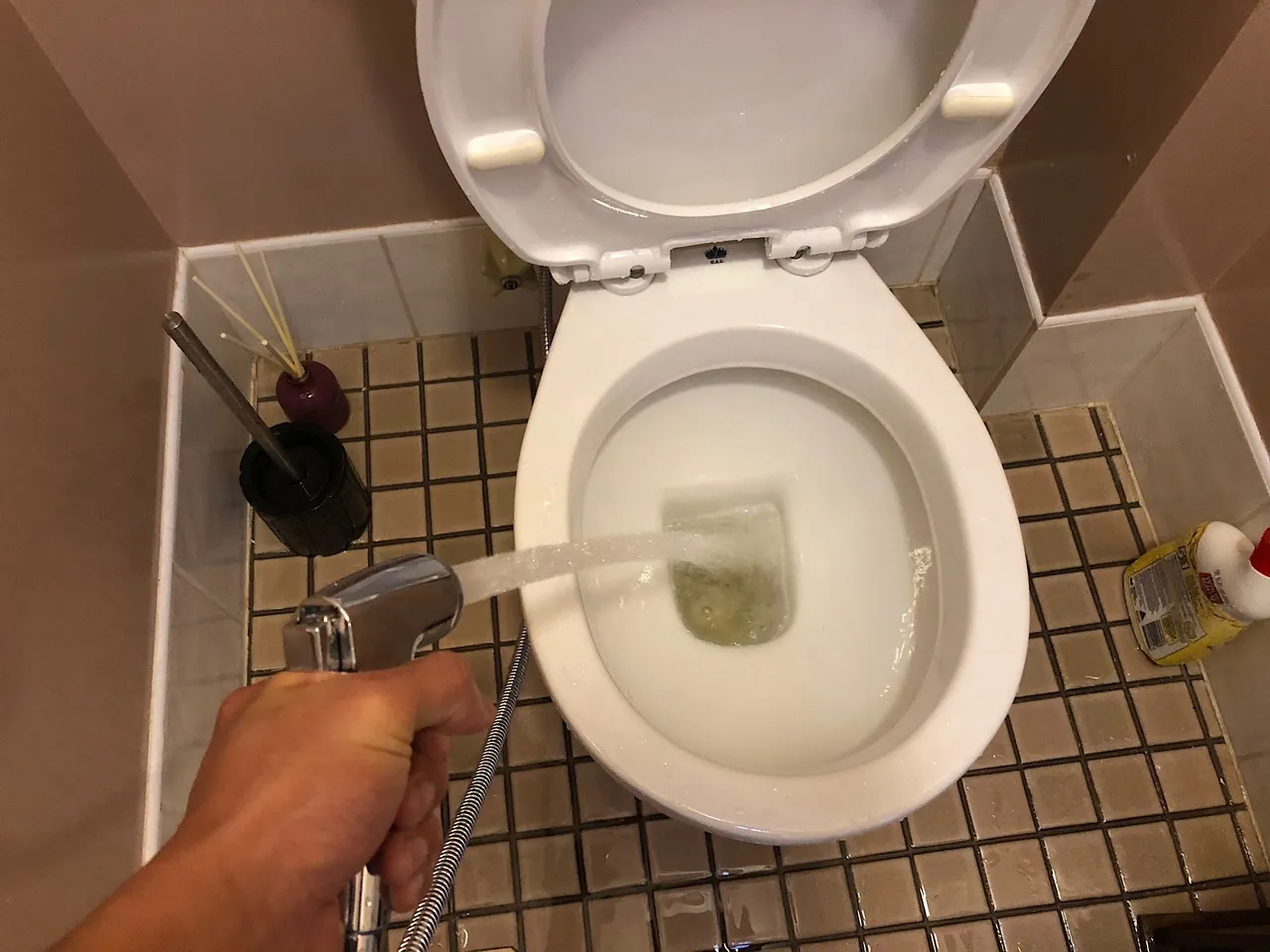 Toilet trigger sprayer in action