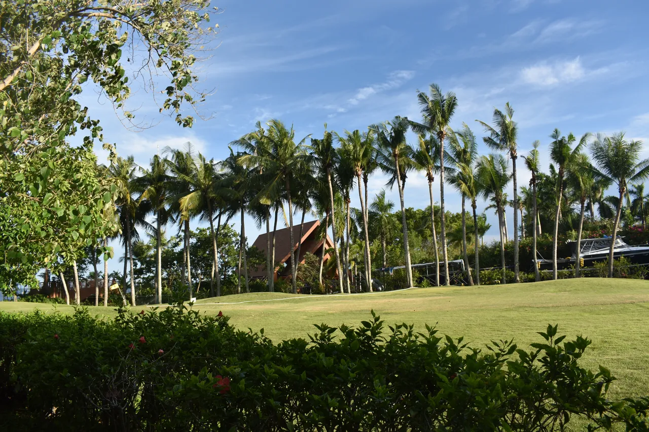 DSC_1093.JPG