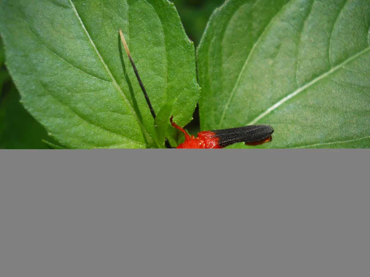 DSCN2825.JPG