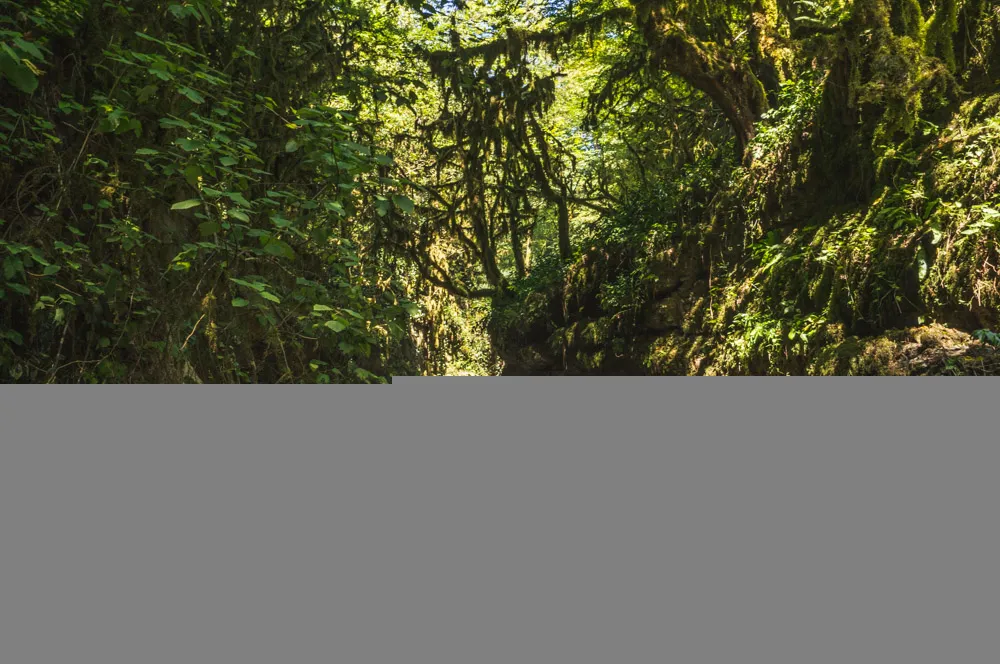 _DSC0876.jpg