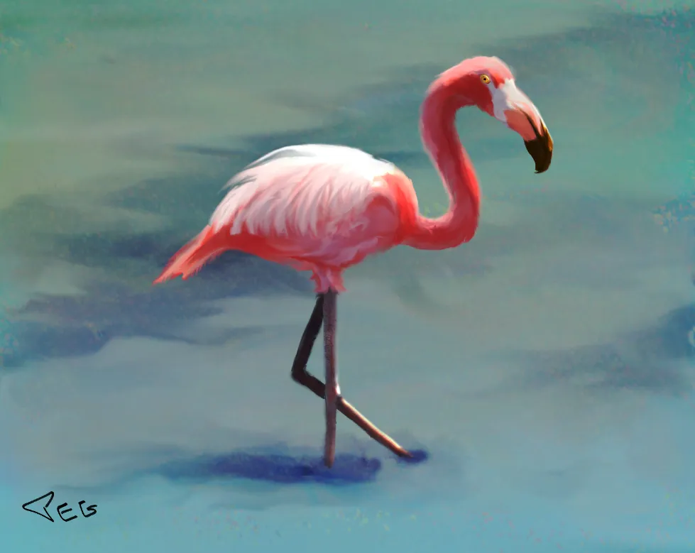 Flamingo.PNG