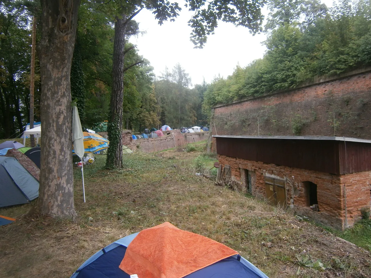 P8120001.JPG