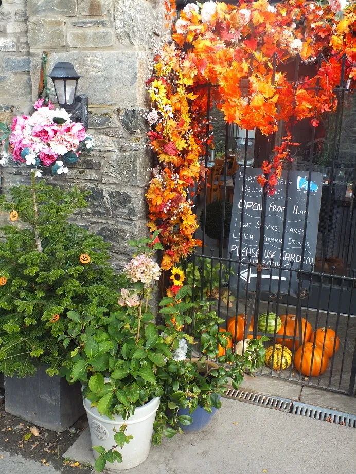 DSCF1053.JPG