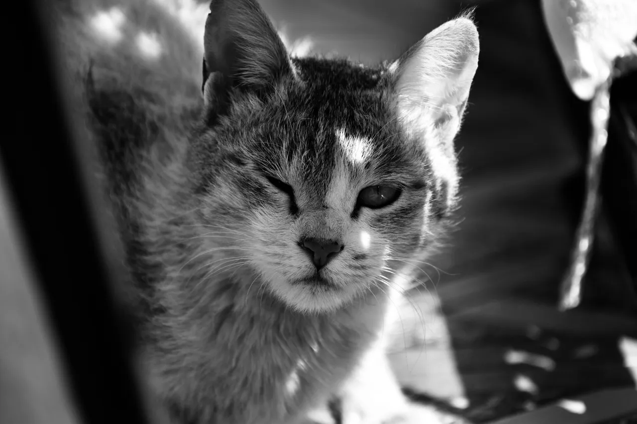 DSC_1314.jpg