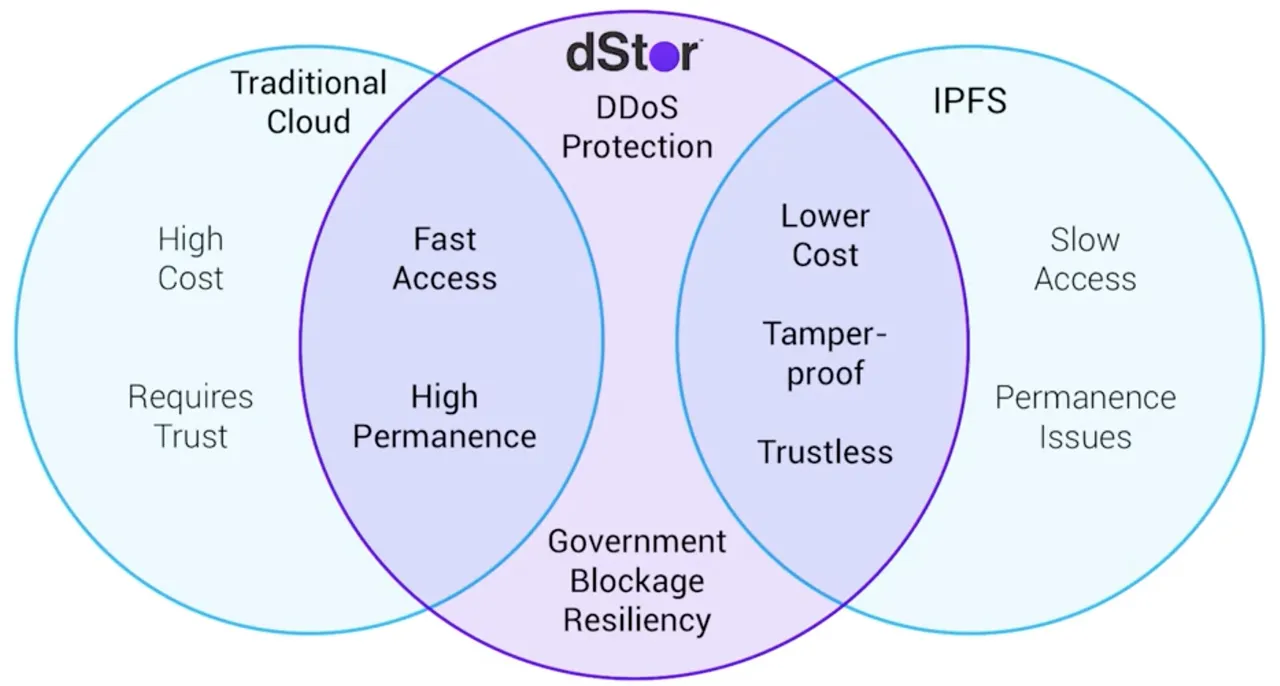 dstore-1.jpg