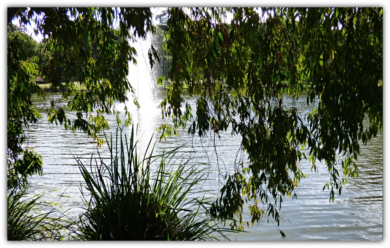LAKE 3.jpg