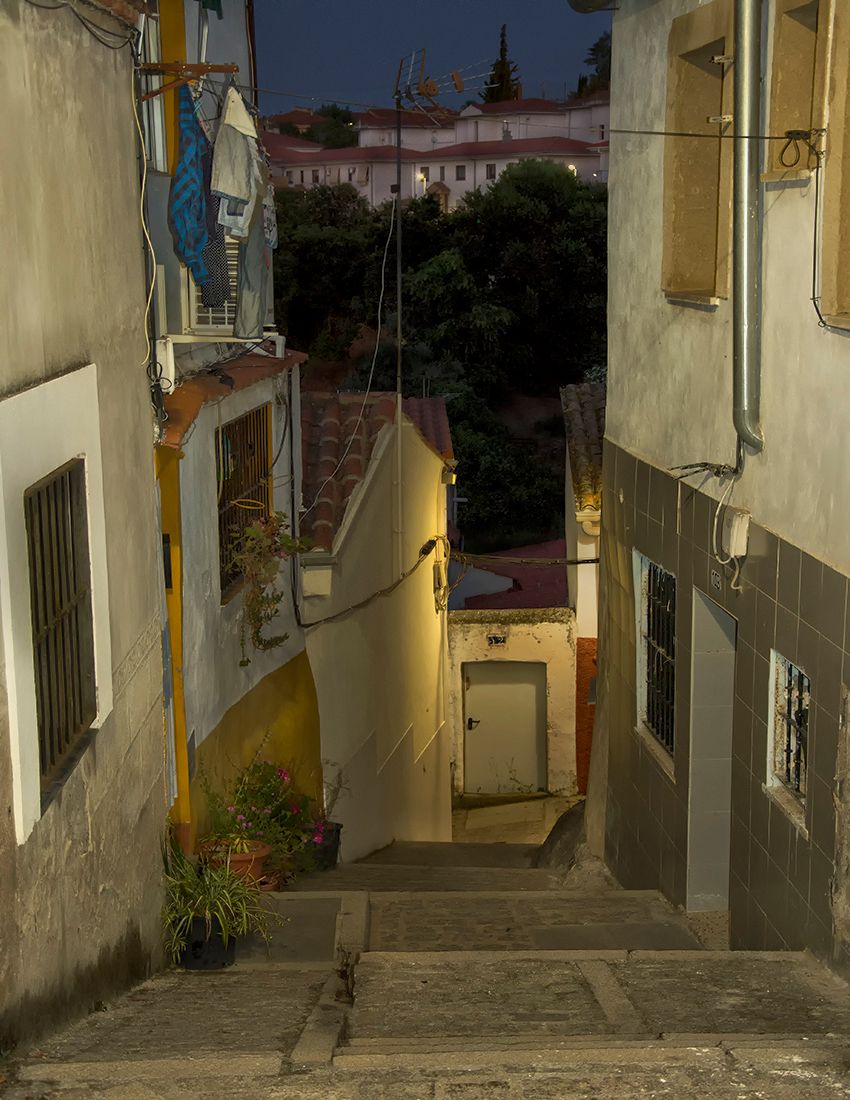 DSC_2837.jpg