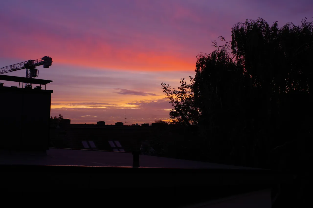 KP_P2901.jpg