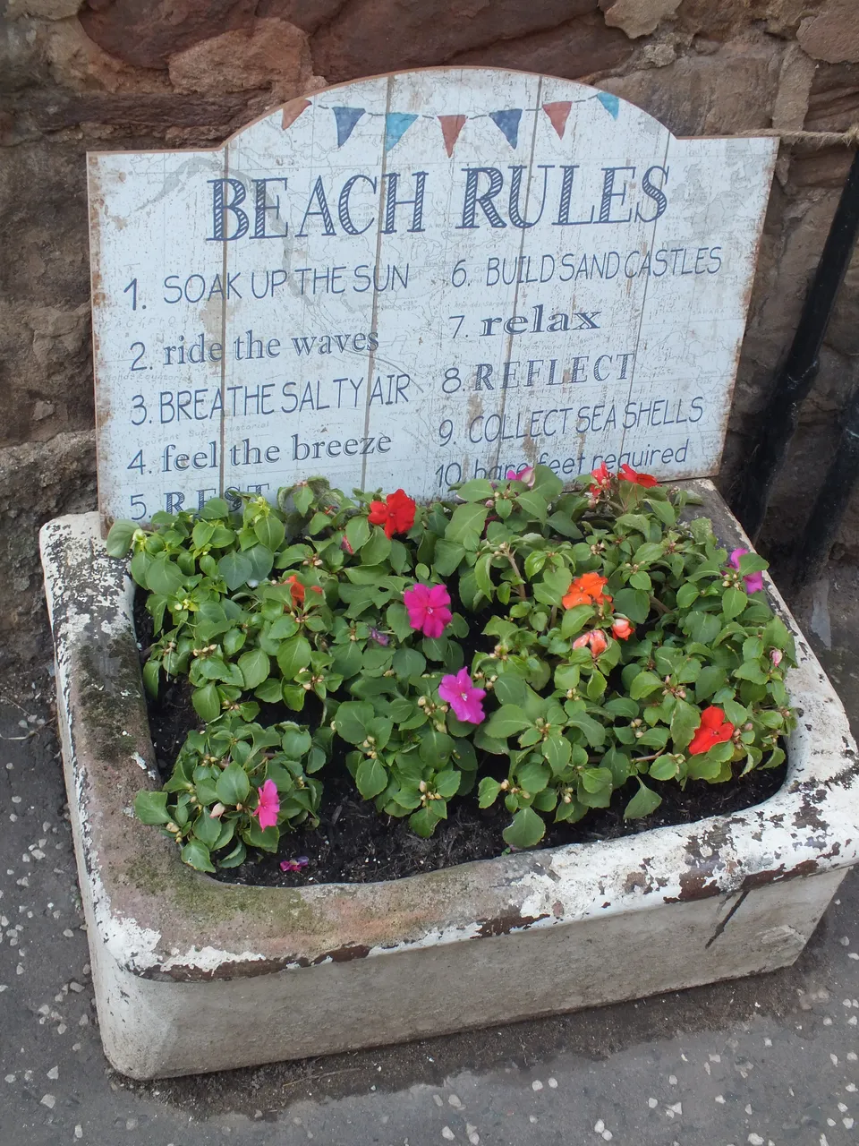 DSCF8245.JPG