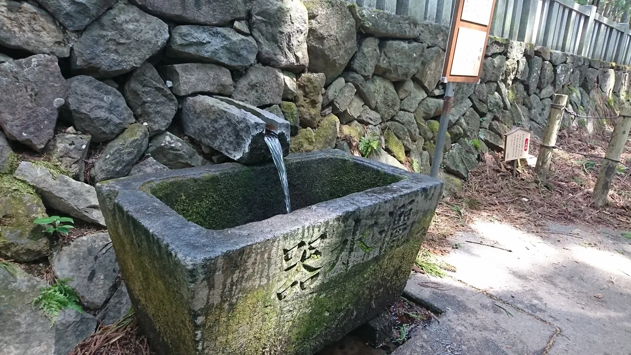 DSC_3771.JPG