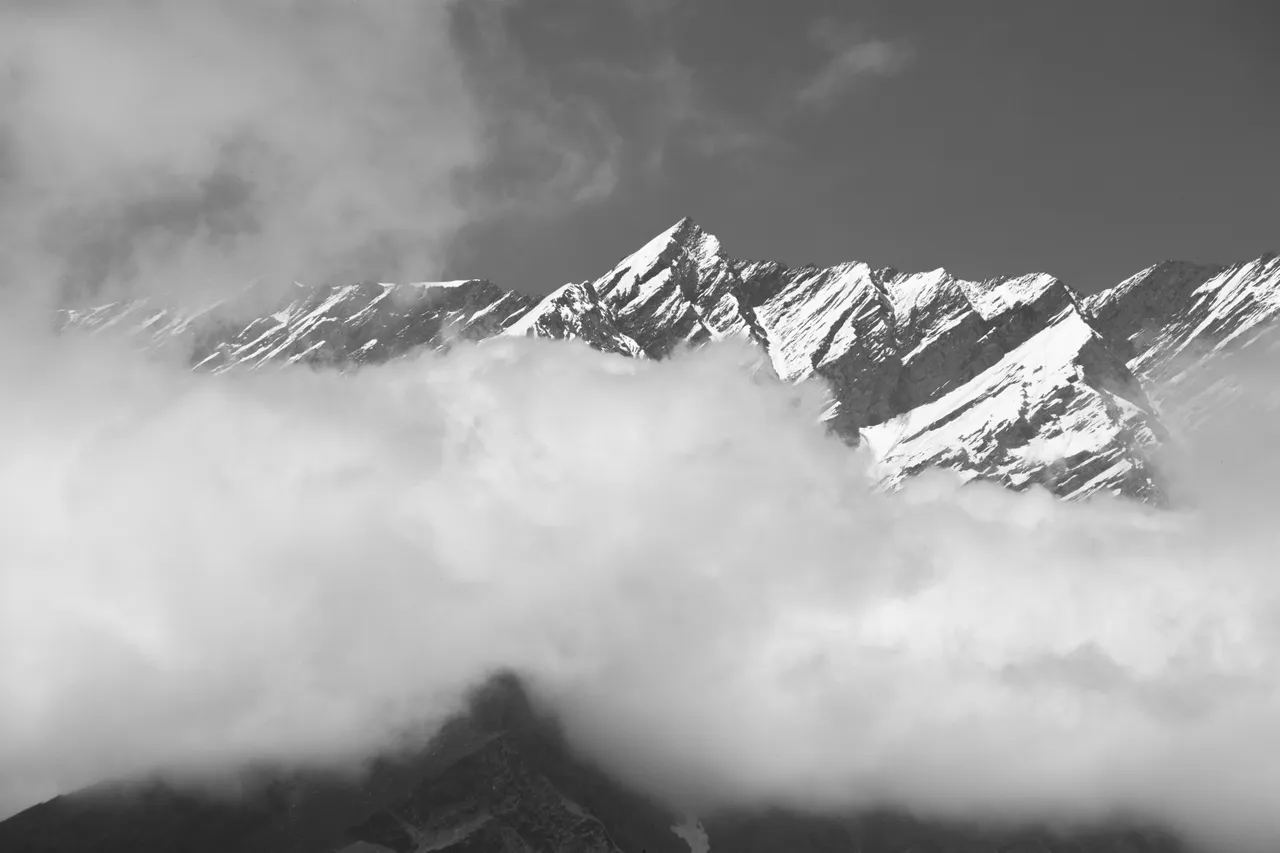 IMG_4115.JPG