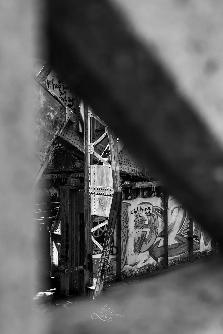 IMG_0836.jpg