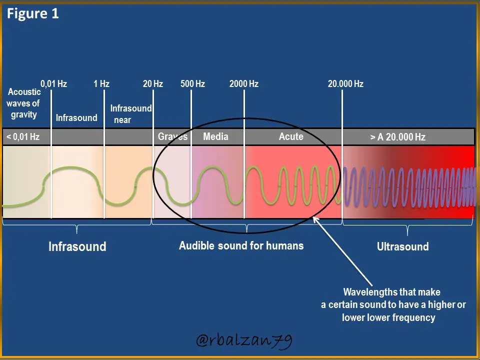 Figure_1.JPG