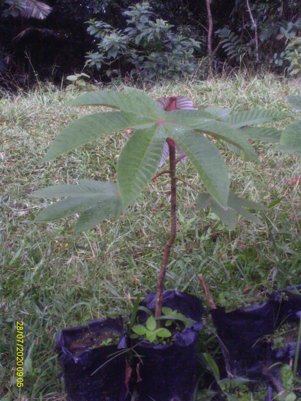 IMAG0640.JPG