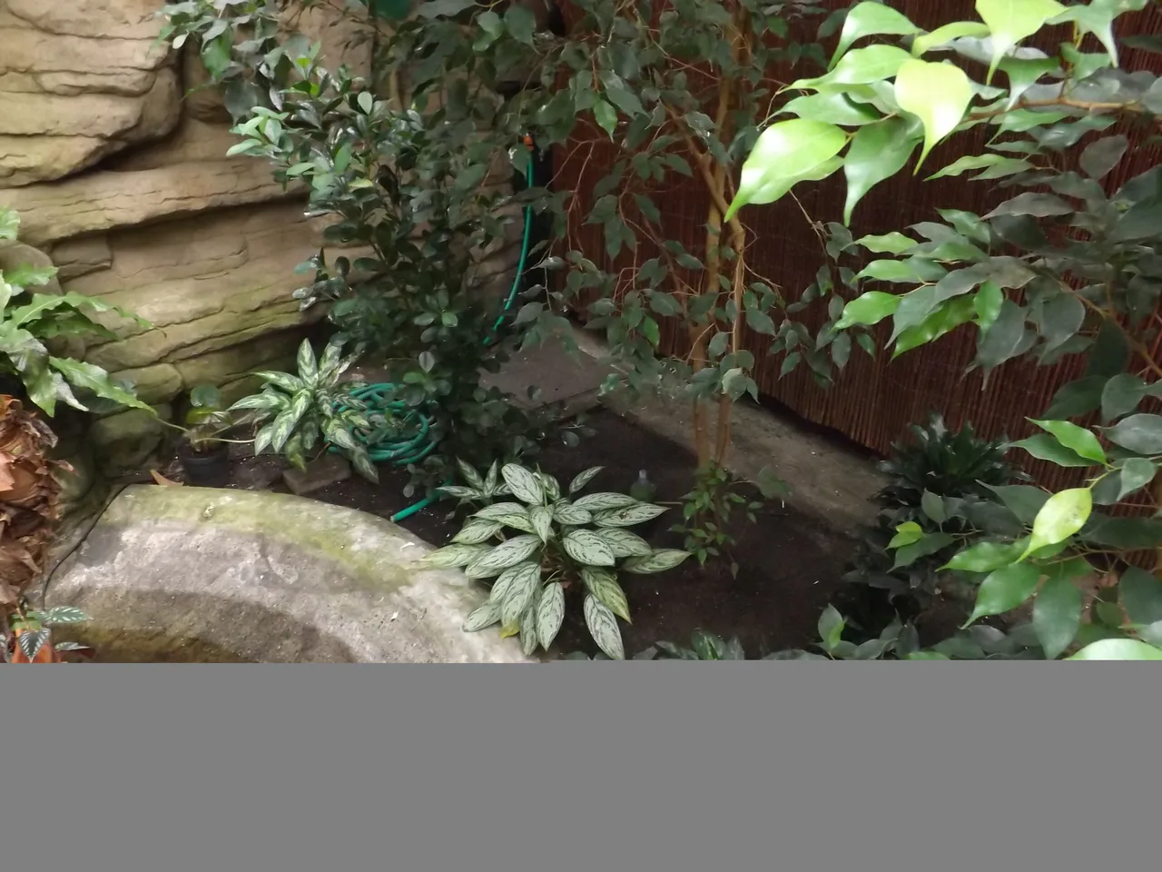 DSCF8222.JPG
