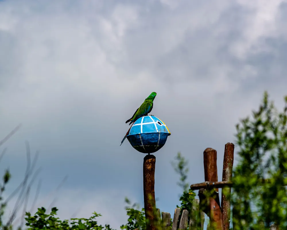 DSC_0338.jpg